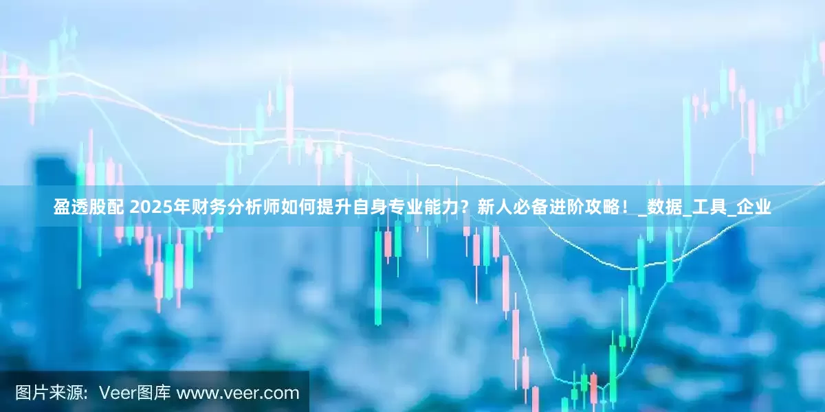 盈透股配 2025年财务分析师如何提升自身专业能力？新人必备进阶攻略！_数据_工具_企业